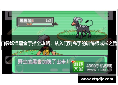 口袋妖怪黑金手指全攻略：从入门到高手的训练师成长之路